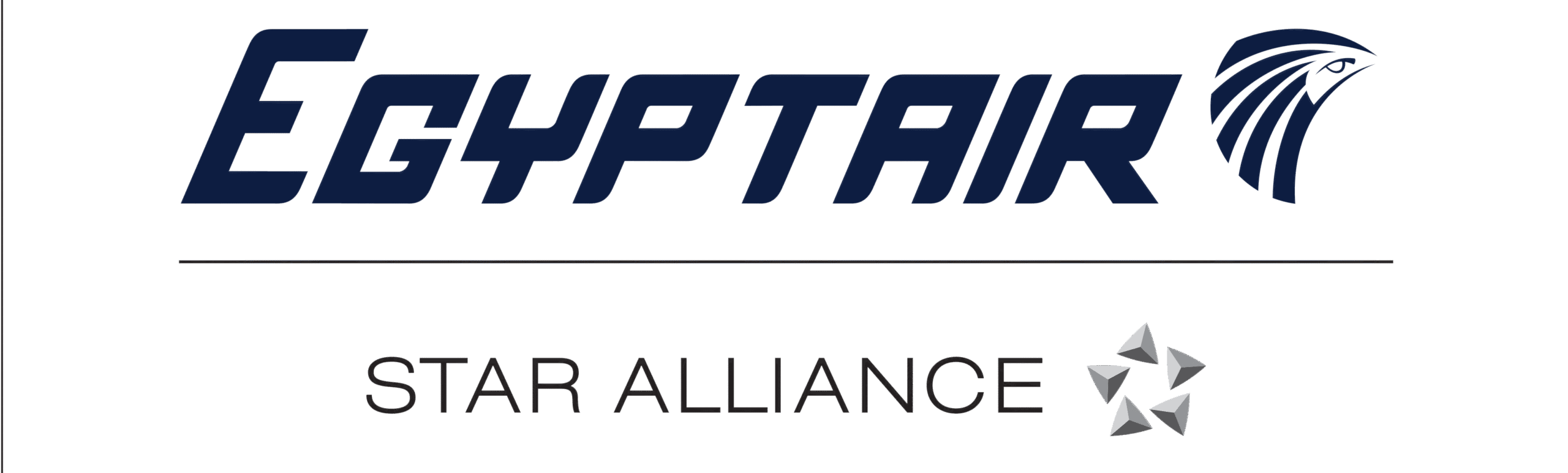 MS_Hor_Blue_Star_250915_112211